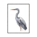 Picture of Egret II  _GroupedProduct_Rectangle_Portrait_Canvas_Framed_