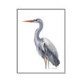 Picture of Egret II  _GroupedProduct_Rectangle_Portrait_Canvas_Framed_