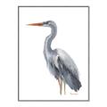 Picture of Egret II  _GroupedProduct_Rectangle_Portrait_Canvas_Framed_