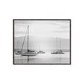 Picture of All the Sails  _GroupedProduct_Rectangle_Landscape_Canvas_Framed_