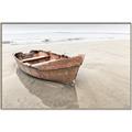 Picture of Brown Boar _GroupedProduct_Rectangle_Landscape_Photography _GroupedProduct_Rectangle_Landscape_Canvas_Framed_