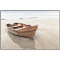 Picture of Brown Boar _GroupedProduct_Rectangle_Landscape_Photography _GroupedProduct_Rectangle_Landscape_Canvas_Framed_