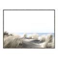 Picture of Sandy Beach I _GroupedProduct_Rectangle_Landscape_Photography _GroupedProduct_Rectangle_Landscape_Canvas_Framed_