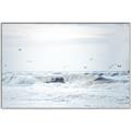 Picture of Seagulls Over the Water _GroupedProduct_Rectangle_Landscape_Photography _GroupedProduct_Rectangle_Landscape_Canvas_Framed_