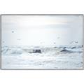 Picture of Seagulls Over the Water _GroupedProduct_Rectangle_Landscape_Photography _GroupedProduct_Rectangle_Landscape_Canvas_Framed_