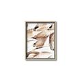 Picture of All the Shells  _GroupedProduct_Rectangle_Portrait_Photography _GroupedProduct_Rectangle_Portrait_Canvas_Framed_