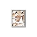 Picture of All the Shells  _GroupedProduct_Rectangle_Portrait_Photography _GroupedProduct_Rectangle_Portrait_Canvas_Framed_