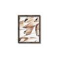 Picture of All the Shells  _GroupedProduct_Rectangle_Portrait_Photography _GroupedProduct_Rectangle_Portrait_Canvas_Framed_