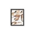 Picture of All the Shells  _GroupedProduct_Rectangle_Portrait_Photography _GroupedProduct_Rectangle_Portrait_Canvas_Framed_