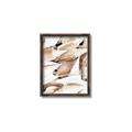Picture of All the Shells  _GroupedProduct_Rectangle_Portrait_Photography _GroupedProduct_Rectangle_Portrait_Canvas_Framed_