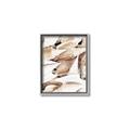 Picture of All the Shells  _GroupedProduct_Rectangle_Portrait_Photography _GroupedProduct_Rectangle_Portrait_Canvas_Framed_