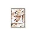 Picture of All the Shells  _GroupedProduct_Rectangle_Portrait_Photography _GroupedProduct_Rectangle_Portrait_Canvas_Framed_