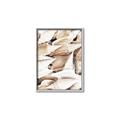 Picture of All the Shells  _GroupedProduct_Rectangle_Portrait_Photography _GroupedProduct_Rectangle_Portrait_Canvas_Framed_
