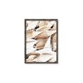 Picture of All the Shells  _GroupedProduct_Rectangle_Portrait_Photography _GroupedProduct_Rectangle_Portrait_Canvas_Framed_