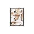 Picture of All the Shells  _GroupedProduct_Rectangle_Portrait_Photography _GroupedProduct_Rectangle_Portrait_Canvas_Framed_