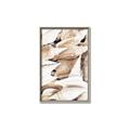 Picture of All the Shells  _GroupedProduct_Rectangle_Portrait_Photography _GroupedProduct_Rectangle_Portrait_Canvas_Framed_