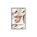 Picture of All the Shells  _GroupedProduct_Rectangle_Portrait_Photography _GroupedProduct_Rectangle_Portrait_Canvas_Framed_