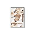 Picture of All the Shells  _GroupedProduct_Rectangle_Portrait_Photography _GroupedProduct_Rectangle_Portrait_Canvas_Framed_