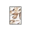 Picture of All the Shells  _GroupedProduct_Rectangle_Portrait_Photography _GroupedProduct_Rectangle_Portrait_Canvas_Framed_