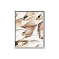 Picture of All the Shells  _GroupedProduct_Rectangle_Portrait_Photography _GroupedProduct_Rectangle_Portrait_Canvas_Framed_