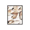 Picture of All the Shells  _GroupedProduct_Rectangle_Portrait_Photography _GroupedProduct_Rectangle_Portrait_Canvas_Framed_