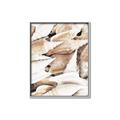 Picture of All the Shells  _GroupedProduct_Rectangle_Portrait_Photography _GroupedProduct_Rectangle_Portrait_Canvas_Framed_
