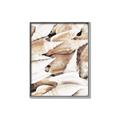 Picture of All the Shells  _GroupedProduct_Rectangle_Portrait_Photography _GroupedProduct_Rectangle_Portrait_Canvas_Framed_