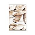 Picture of All the Shells  _GroupedProduct_Rectangle_Portrait_Photography _GroupedProduct_Rectangle_Portrait_Canvas_Framed_