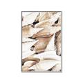 Picture of All the Shells  _GroupedProduct_Rectangle_Portrait_Photography _GroupedProduct_Rectangle_Portrait_Canvas_Framed_