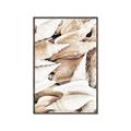 Picture of All the Shells  _GroupedProduct_Rectangle_Portrait_Photography _GroupedProduct_Rectangle_Portrait_Canvas_Framed_