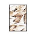 Picture of All the Shells  _GroupedProduct_Rectangle_Portrait_Photography _GroupedProduct_Rectangle_Portrait_Canvas_Framed_
