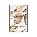 Picture of All the Shells  _GroupedProduct_Rectangle_Portrait_Photography _GroupedProduct_Rectangle_Portrait_Canvas_Framed_