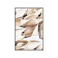 Picture of All the Shells  _GroupedProduct_Rectangle_Portrait_Photography _GroupedProduct_Rectangle_Portrait_Canvas_Framed_