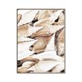 Picture of All the Shells  _GroupedProduct_Rectangle_Portrait_Photography _GroupedProduct_Rectangle_Portrait_Canvas_Framed_