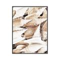 Picture of All the Shells  _GroupedProduct_Rectangle_Portrait_Photography _GroupedProduct_Rectangle_Portrait_Canvas_Framed_
