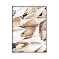 Picture of All the Shells  _GroupedProduct_Rectangle_Portrait_Photography _GroupedProduct_Rectangle_Portrait_Canvas_Framed_