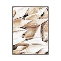Picture of All the Shells  _GroupedProduct_Rectangle_Portrait_Photography _GroupedProduct_Rectangle_Portrait_Canvas_Framed_