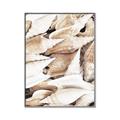 Picture of All the Shells  _GroupedProduct_Rectangle_Portrait_Photography _GroupedProduct_Rectangle_Portrait_Canvas_Framed_