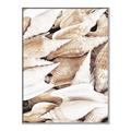 Picture of All the Shells  _GroupedProduct_Rectangle_Portrait_Photography _GroupedProduct_Rectangle_Portrait_Canvas_Framed_