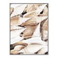 Picture of All the Shells  _GroupedProduct_Rectangle_Portrait_Photography _GroupedProduct_Rectangle_Portrait_Canvas_Framed_
