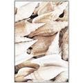 Picture of All the Shells  _GroupedProduct_Rectangle_Portrait_Photography _GroupedProduct_Rectangle_Portrait_Canvas_Framed_