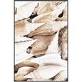 Picture of All the Shells  _GroupedProduct_Rectangle_Portrait_Photography _GroupedProduct_Rectangle_Portrait_Canvas_Framed_