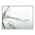 Picture of Sailboat in the Distance _GroupedProduct_Rectangle_Landscape_Photography _GroupedProduct_Rectangle_Landscape_Canvas_Framed_