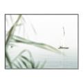 Picture of Sailboat in the Distance _GroupedProduct_Rectangle_Landscape_Photography _GroupedProduct_Rectangle_Landscape_Canvas_Framed_