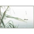 Picture of Sailboat in the Distance _GroupedProduct_Rectangle_Landscape_Photography _GroupedProduct_Rectangle_Landscape_Canvas_Framed_