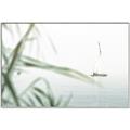 Picture of Sailboat in the Distance _GroupedProduct_Rectangle_Landscape_Photography _GroupedProduct_Rectangle_Landscape_Canvas_Framed_