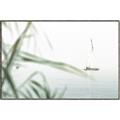 Picture of Sailboat in the Distance _GroupedProduct_Rectangle_Landscape_Photography _GroupedProduct_Rectangle_Landscape_Canvas_Framed_