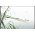 Picture of Sailboat in the Distance _GroupedProduct_Rectangle_Landscape_Photography _GroupedProduct_Rectangle_Landscape_Canvas_Framed_