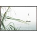 Picture of Sailboat in the Distance _GroupedProduct_Rectangle_Landscape_Photography _GroupedProduct_Rectangle_Landscape_Canvas_Framed_