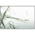 Picture of Sailboat in the Distance _GroupedProduct_Rectangle_Landscape_Photography _GroupedProduct_Rectangle_Landscape_Canvas_Framed_